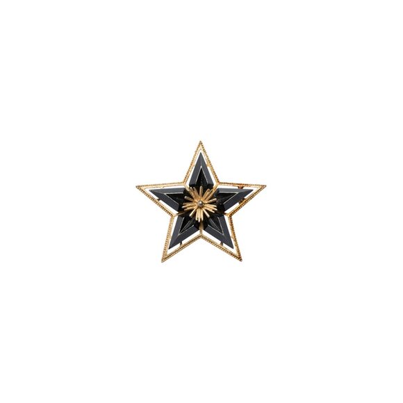 Charles Frederick Worth (France) Vintage, Brooch, Morning Star - Picture 1 of 2